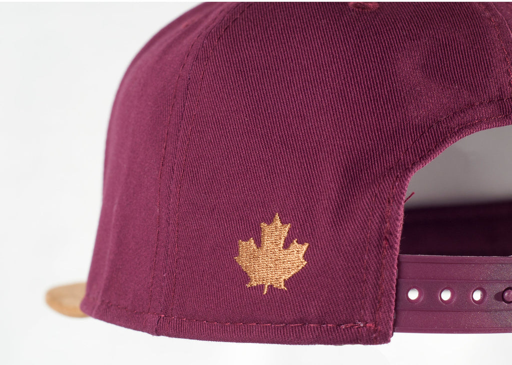 CMS Shield w/Skis Suede Brim Ball Cap