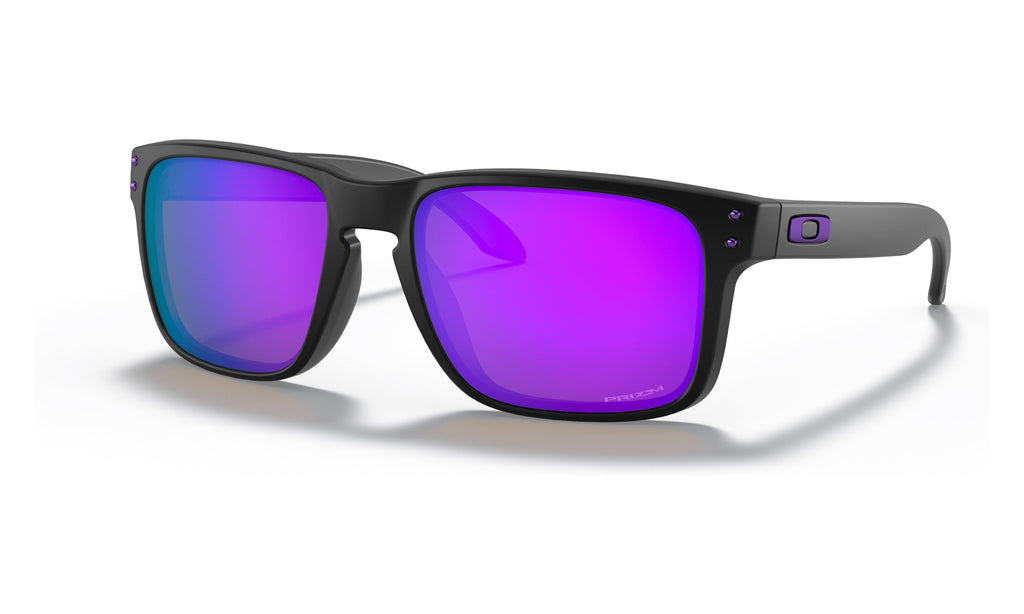 Holbrook Sunglasses