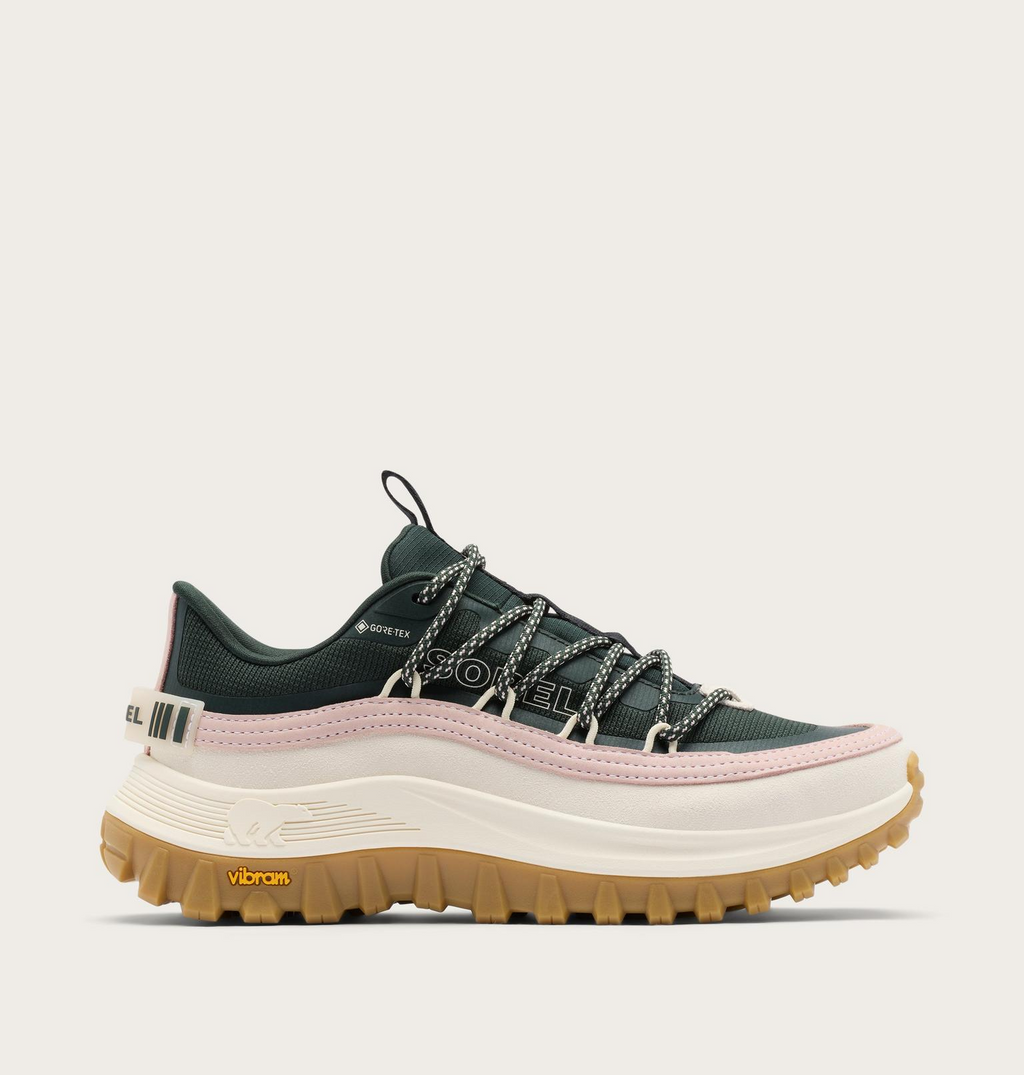 Callsign Horizon Low GTX Shoe W's