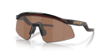 Hydra Sunglasses