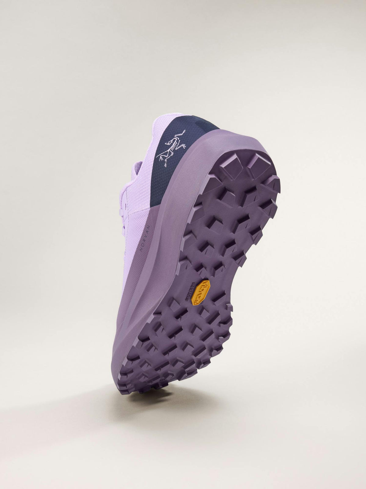 Norvan LD 4 Shoe Women's
