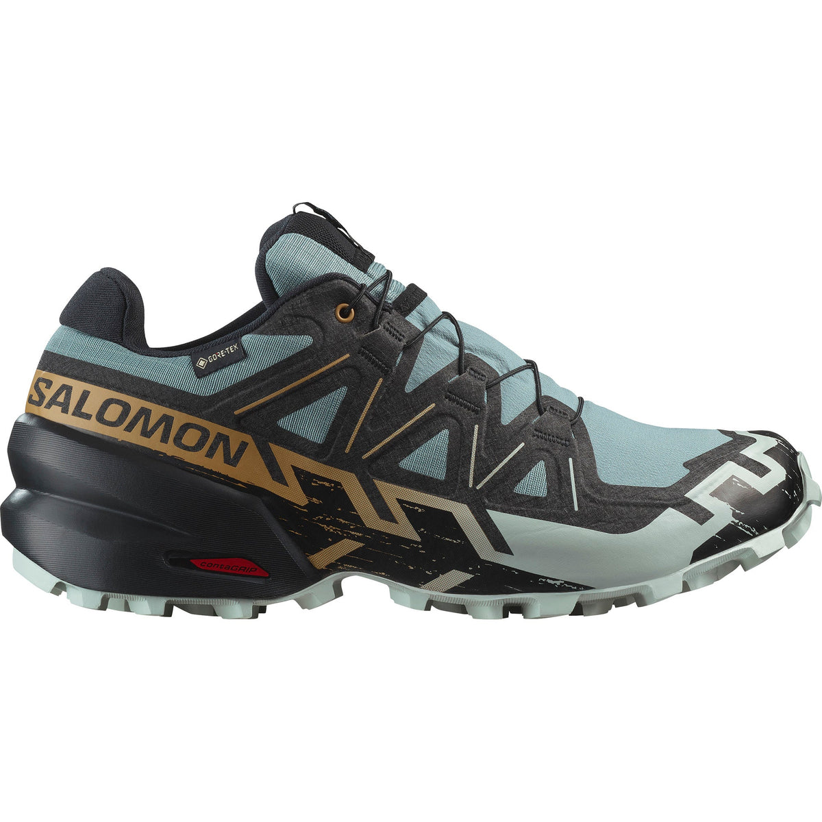 Speedcross 6 GTX Shoe Men's