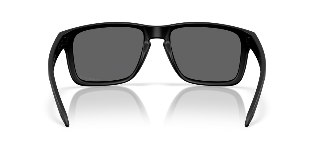 Holbrook XXL Sunglasses