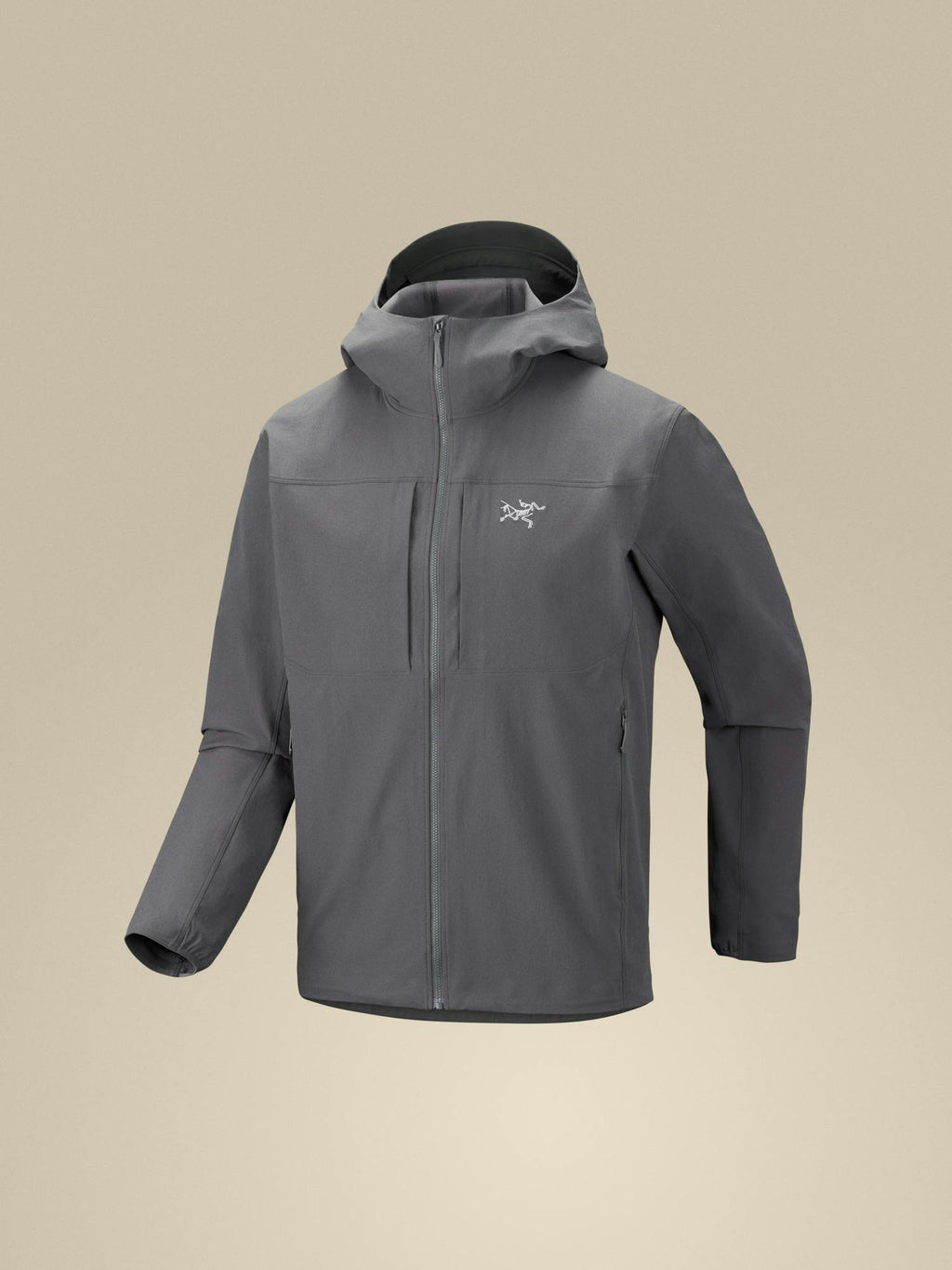 Gamma Hoody Men's