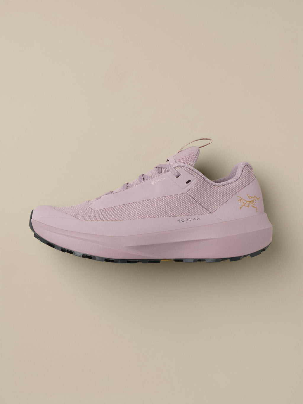 Norvan LD 4 GTX Shoe Women's