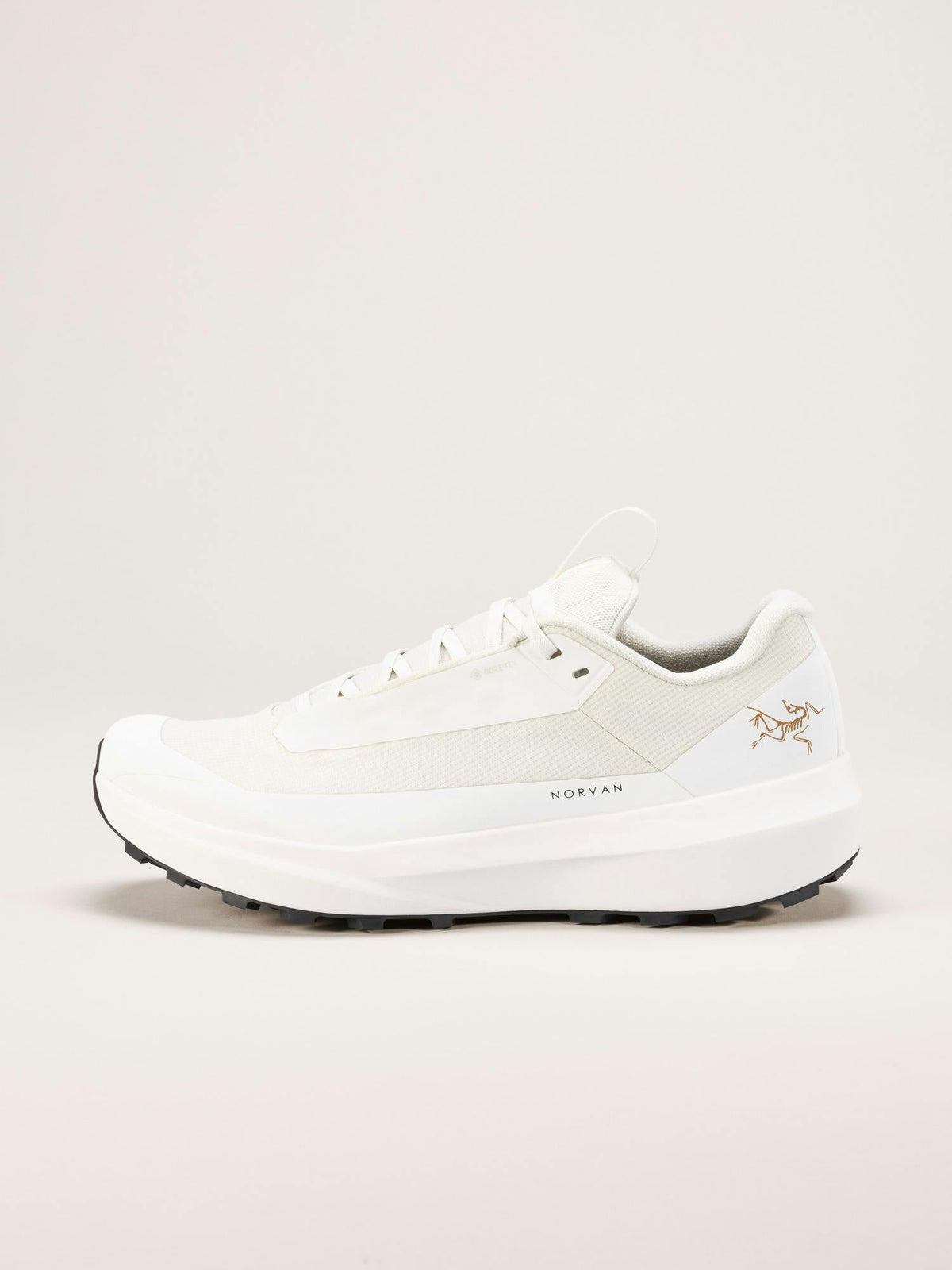 Norvan LD 4 GTX Shoe Men's