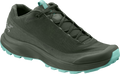 Aerios FL GTX Hiking Shoe - Women's
